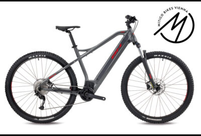 BH Atom 29